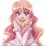 Anime The Familiar of Zero PFP