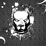 Download Music Pit Bull PFP