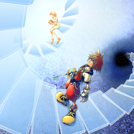 Kingdom Hearts: Chain Of Memories Pfp