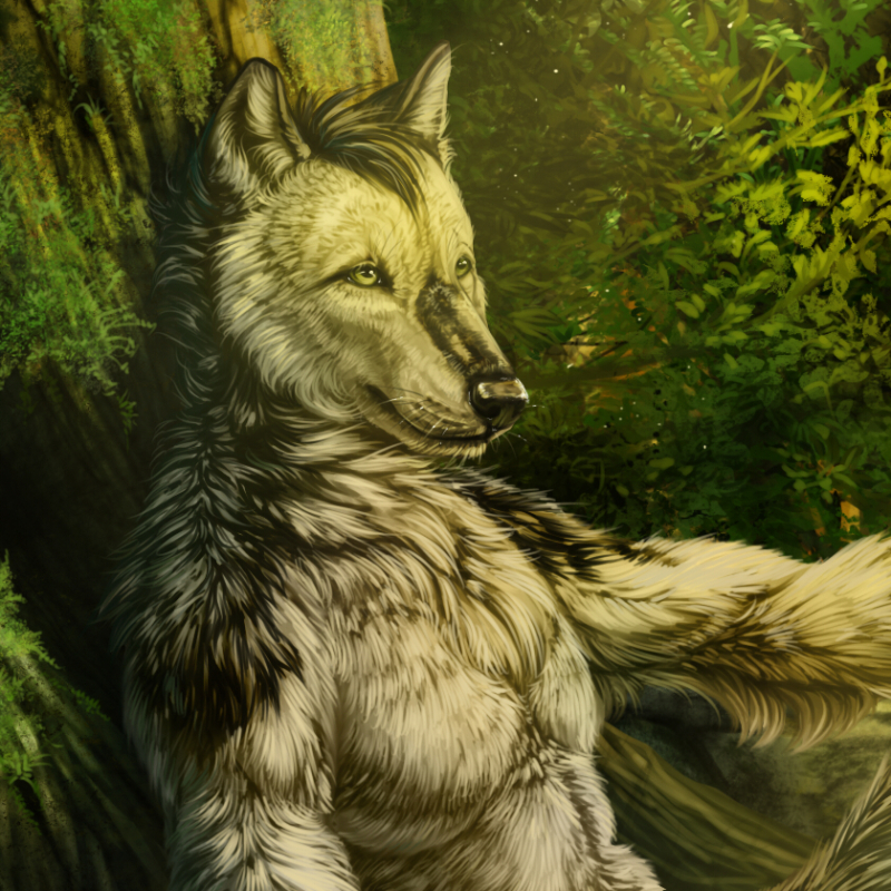 Download Furry (anthropomorphic) Creature Fantasy Wolf PFP by WolfRoad