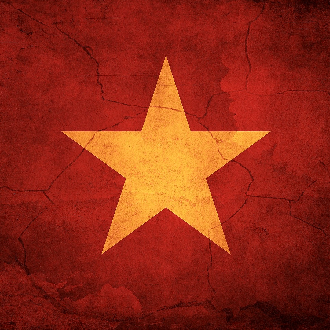 Flag of Vietnam Pfp