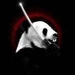 Download Animal Panda PFP