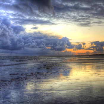 horizon nature ocean PFP