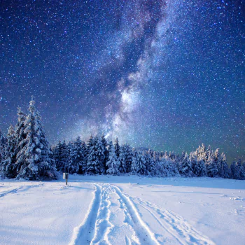  Starry Sky over Winter Forest