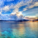 nature ocean PFP
