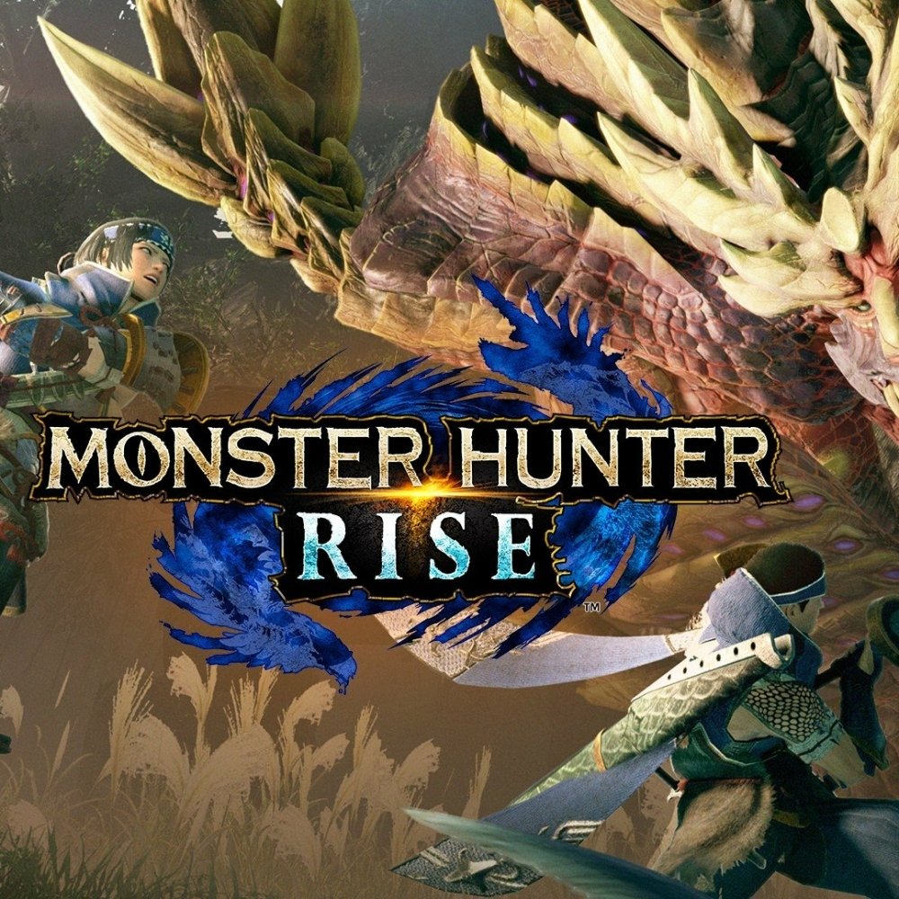 Download Video Game Monster Hunter Rise PFP