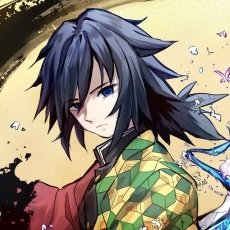 Forum avatar of Giyuu Tomioka from Demon Slayer: Kimetsu no Yaiba — anime portrait with dark blue hair, blue eyes, a serious expression, and the signature green-and-orange patterned haori.