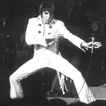  The King Elvis Presley!