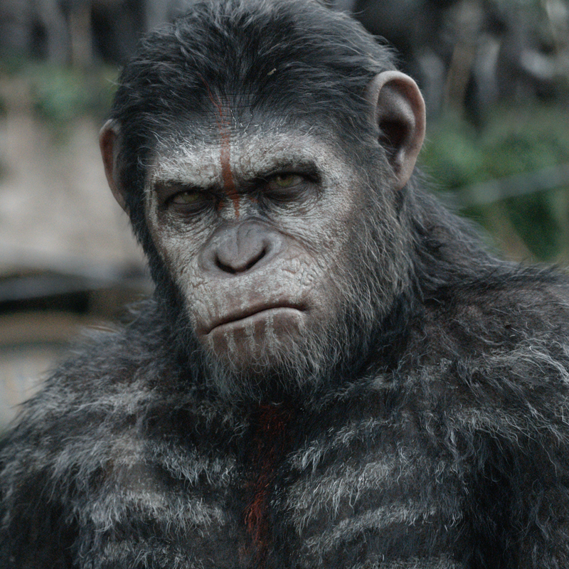 movie Dawn of the Planet of the Apes PFP