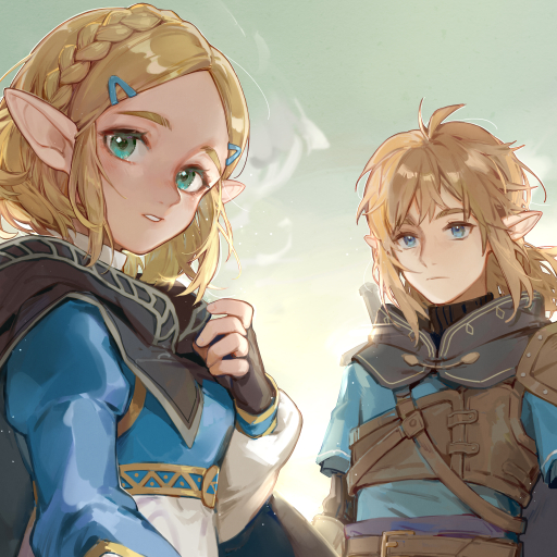 The Legend of Zelda: Tears of the Kingdom Pfp by Aimota
