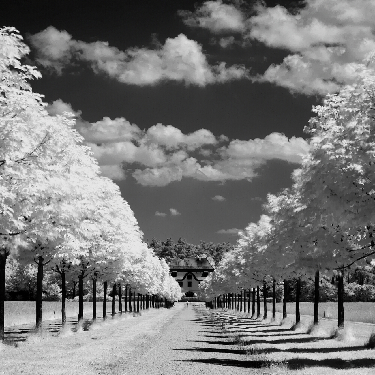 Path to House in Black & White