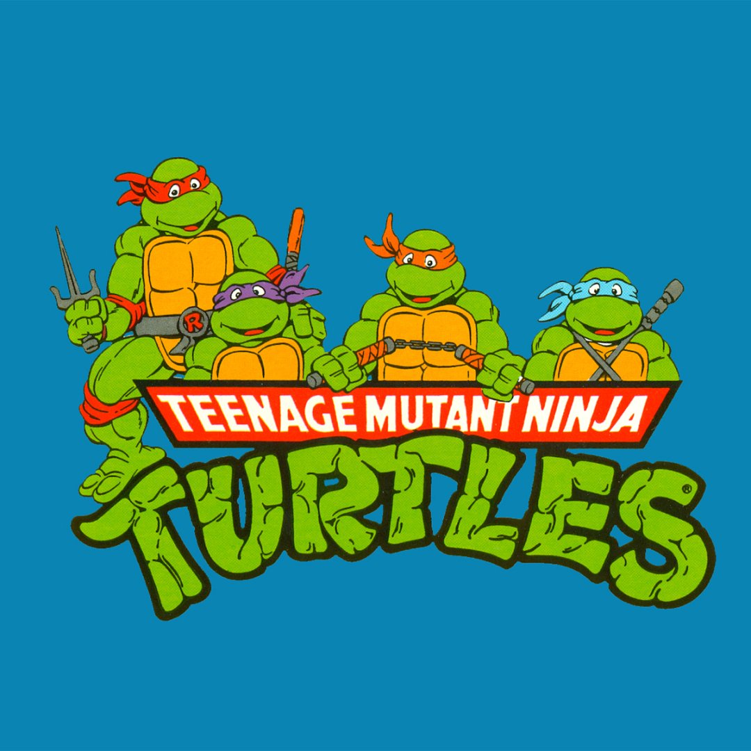 Download Teenage Mutant Ninja Turtles TV Show PFP