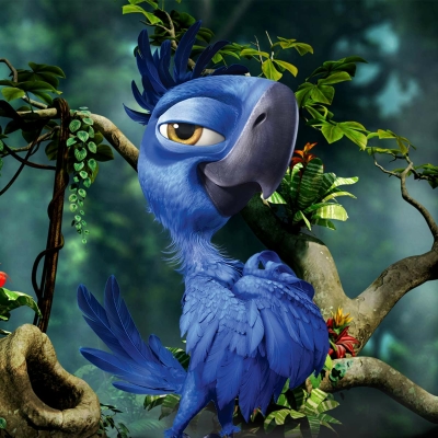 Rio 2 Pfp