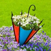  Garden Of Pansies