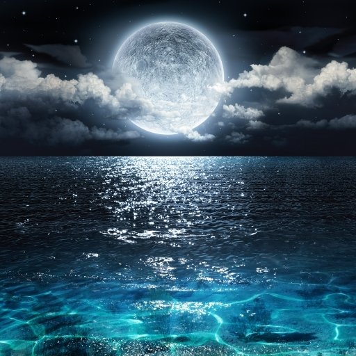 Download Night Ocean Nature Moon PFP