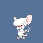 Download TV Show Pinky And The Brain PFP