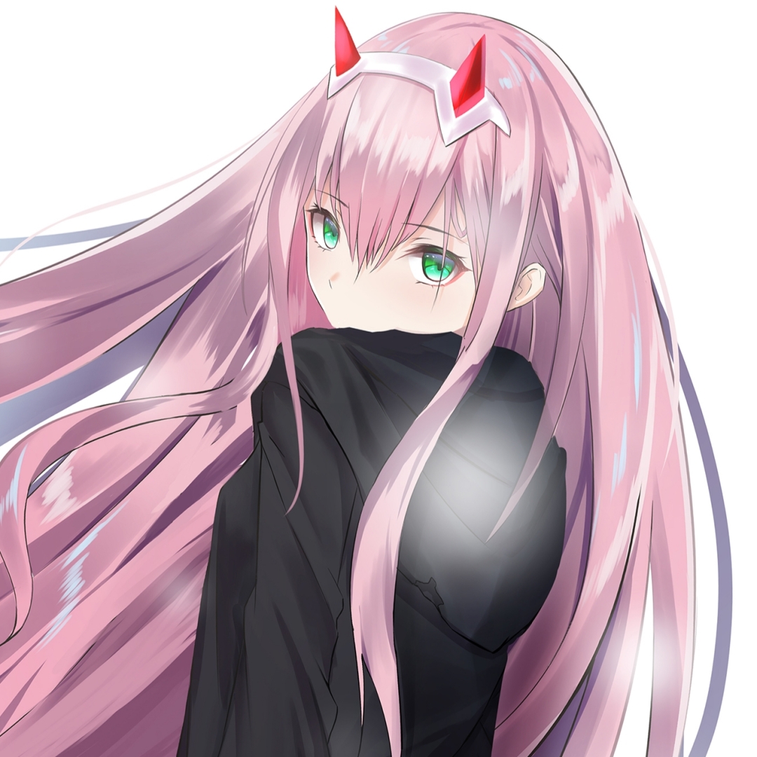 Darling in the FranXX Pfp