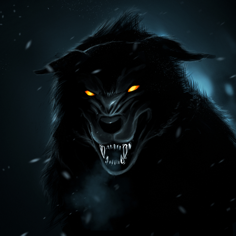 Black Wolf by Samuel Johnson