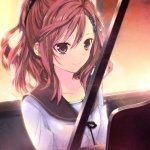 Download Anime Negai No Kakera To Hakugin No Agreement PFP