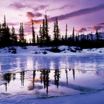  Sun Setting With Winter's Thaw