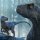 Jurassic World: Dominion