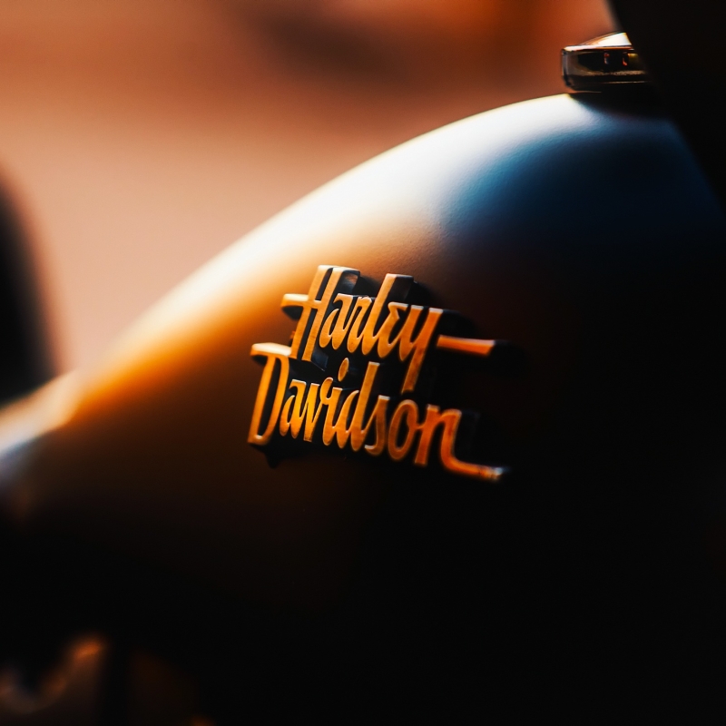 Close-up of a Harley Davidson badge