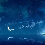  Night of universe 