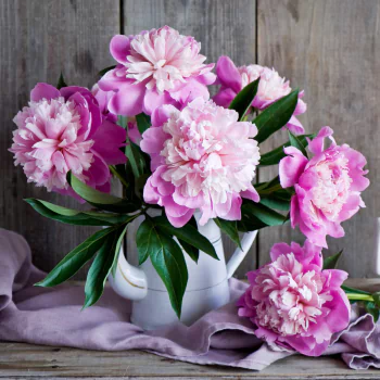 peony bouquet man made flower PFP