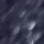 technology hardware PFP