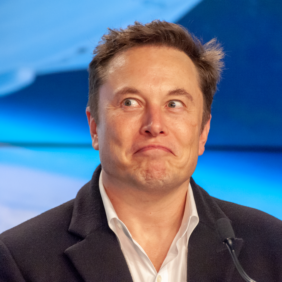 Elon Musk Pfp