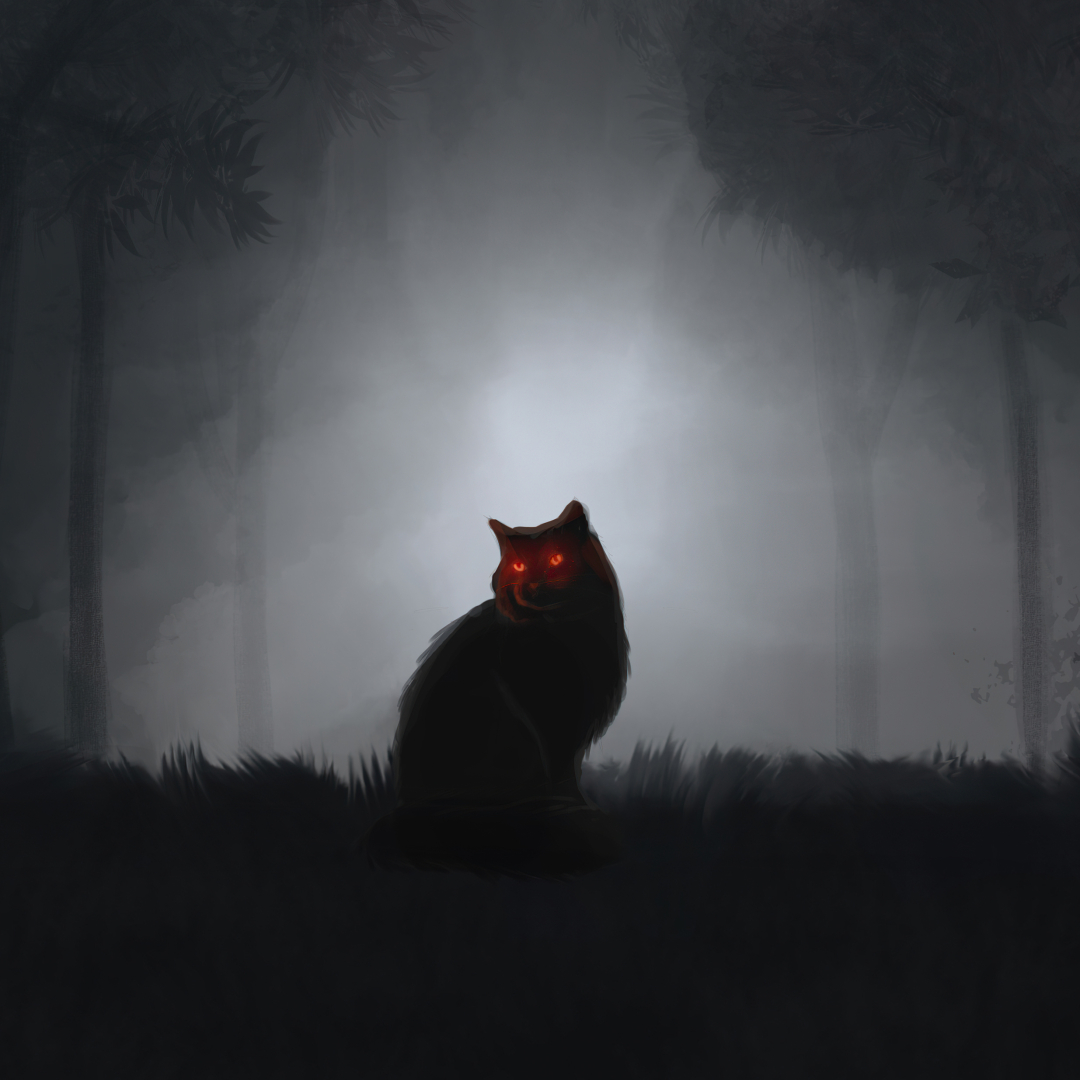 At night all cats are gray by cyoclon