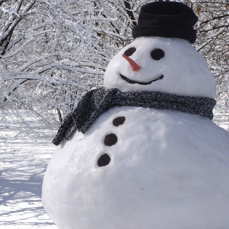 Download Photography Snowman PFP