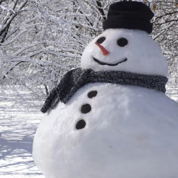 photography snowman PFP