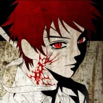 Anime Rosario + Vampire PFP