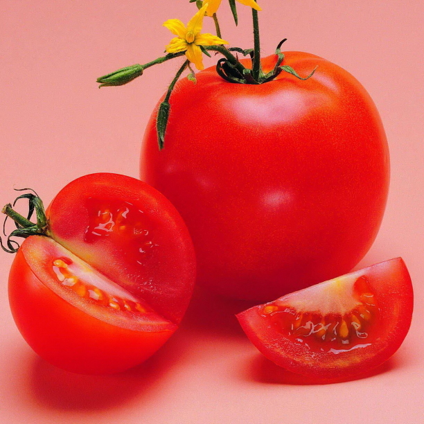 Tomato Pfp
