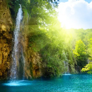 nature waterfall PFP