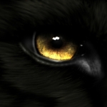 Wolf Pfp