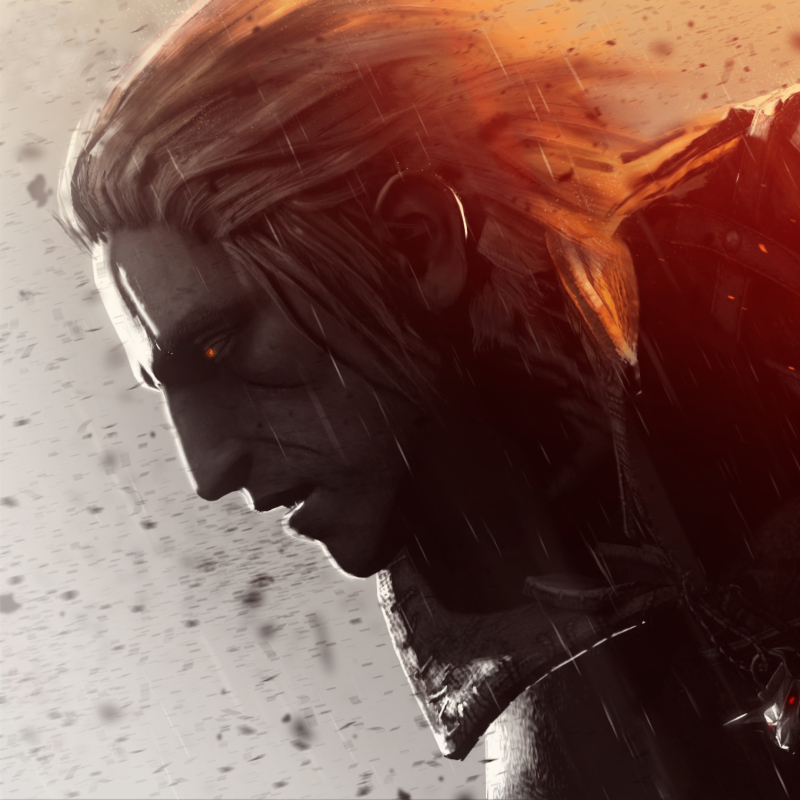 The Witcher 3: Wild Hunt Pfp by NOGA14