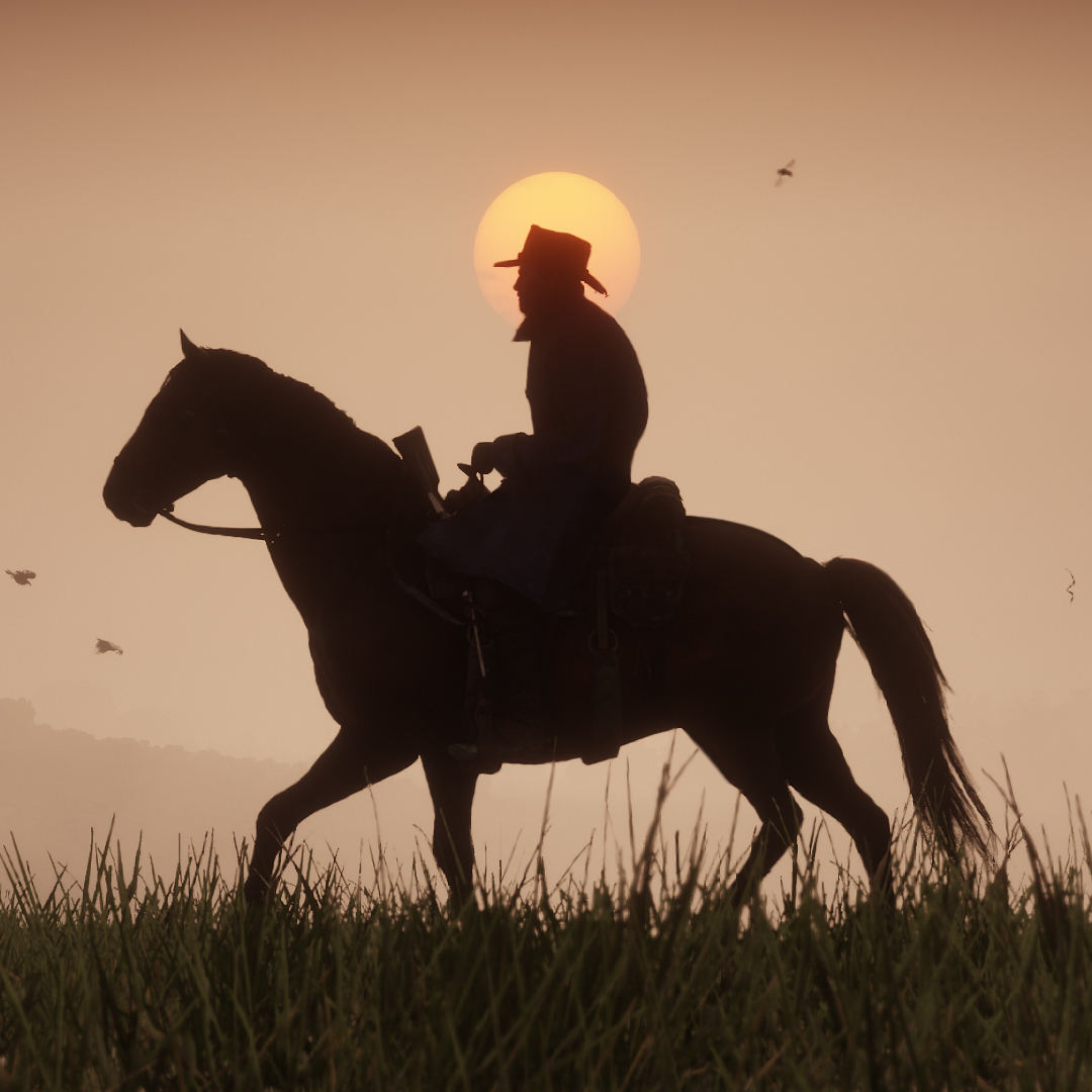 Download Video Game Red Dead Redemption 2 PFP   324503 