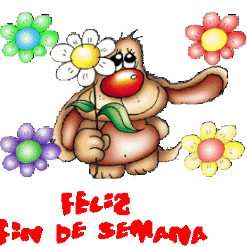 Spanish happy weekend flower dog daisy Misc statement PFP