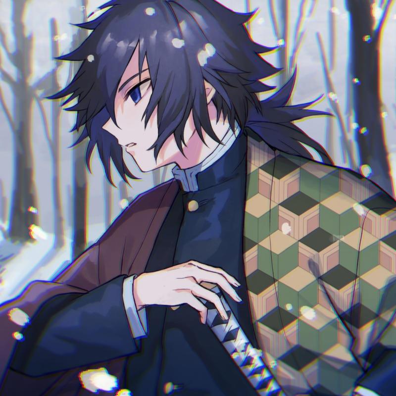 Forum avatar-style anime portrait of Giyuu Tomioka from Demon Slayer: Kimetsu no Yaiba, looking left, patterned haori and sword against a snowy forest backdrop.