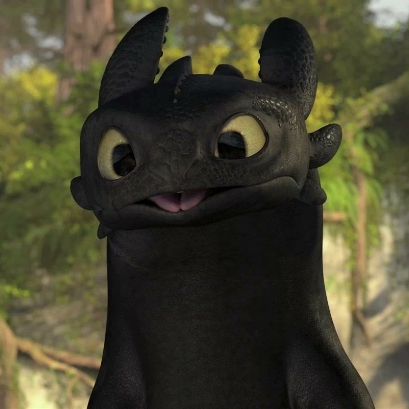 How To Train Your Dragon Pfp