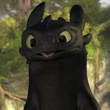 CUTE TOOTHLESS - HOW TO popular TRAIN YOUR DRAGON