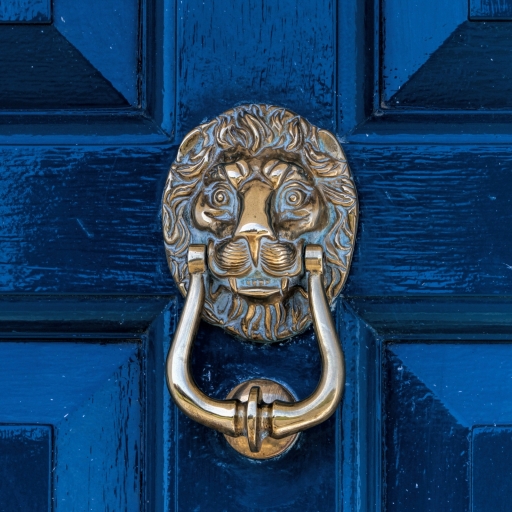 lion brass door knocker