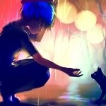 Download Cat Anime Original Anime Cat PFP