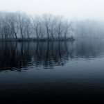 Download Dark Forest PFP