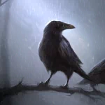 Animal crow PFP