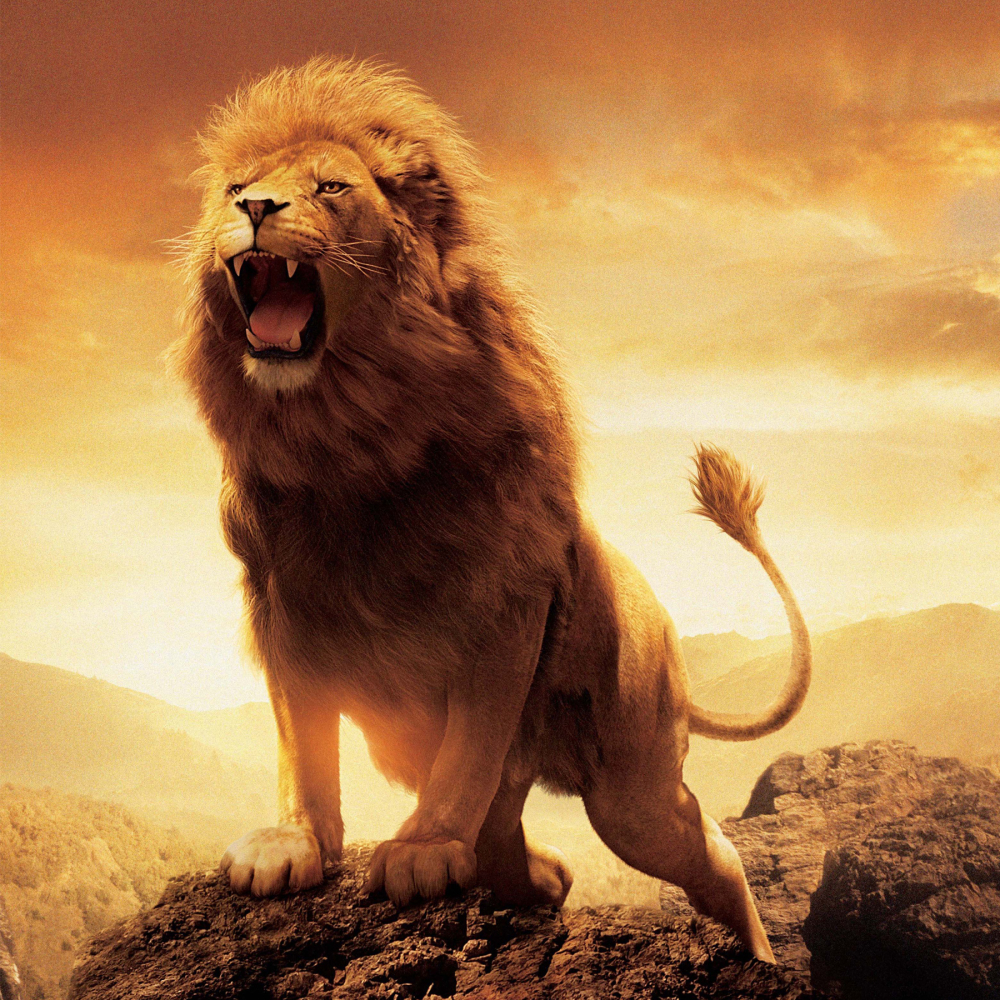 Download Aslan Movie The Chronicles Of Narnia: The Lion, The Witch And 