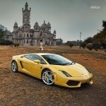 Download Vehicle Lamborghini Gallardo PFP