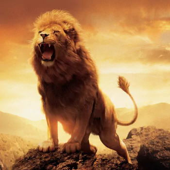 Aslan movie The Chronicles of Narnia: The Lion, the Witch and the Wardrobe PFP